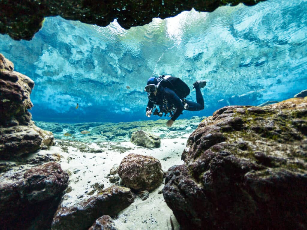 Best Day Trips From Jacksonville Florida (By a City Local)