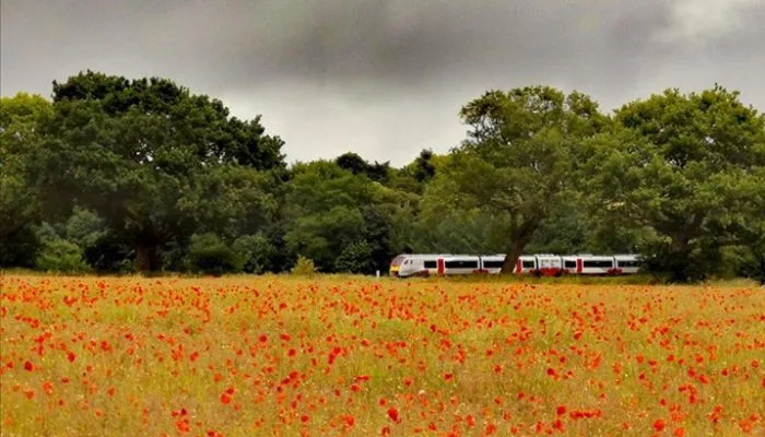 Most Scenic Train Journeys in the UK